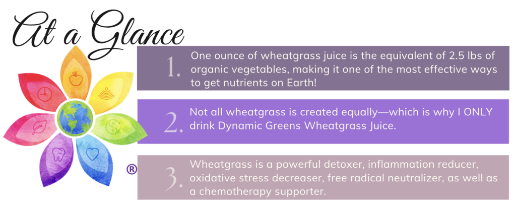 wheatgrass at a glance